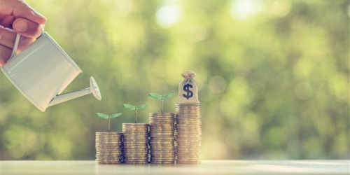 fideicomiso-inversion